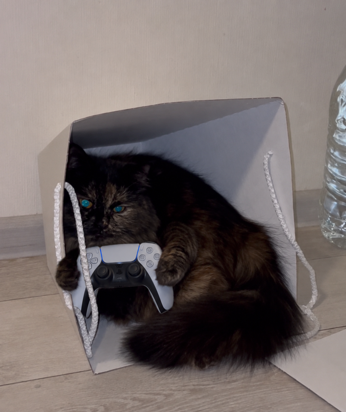 Игры